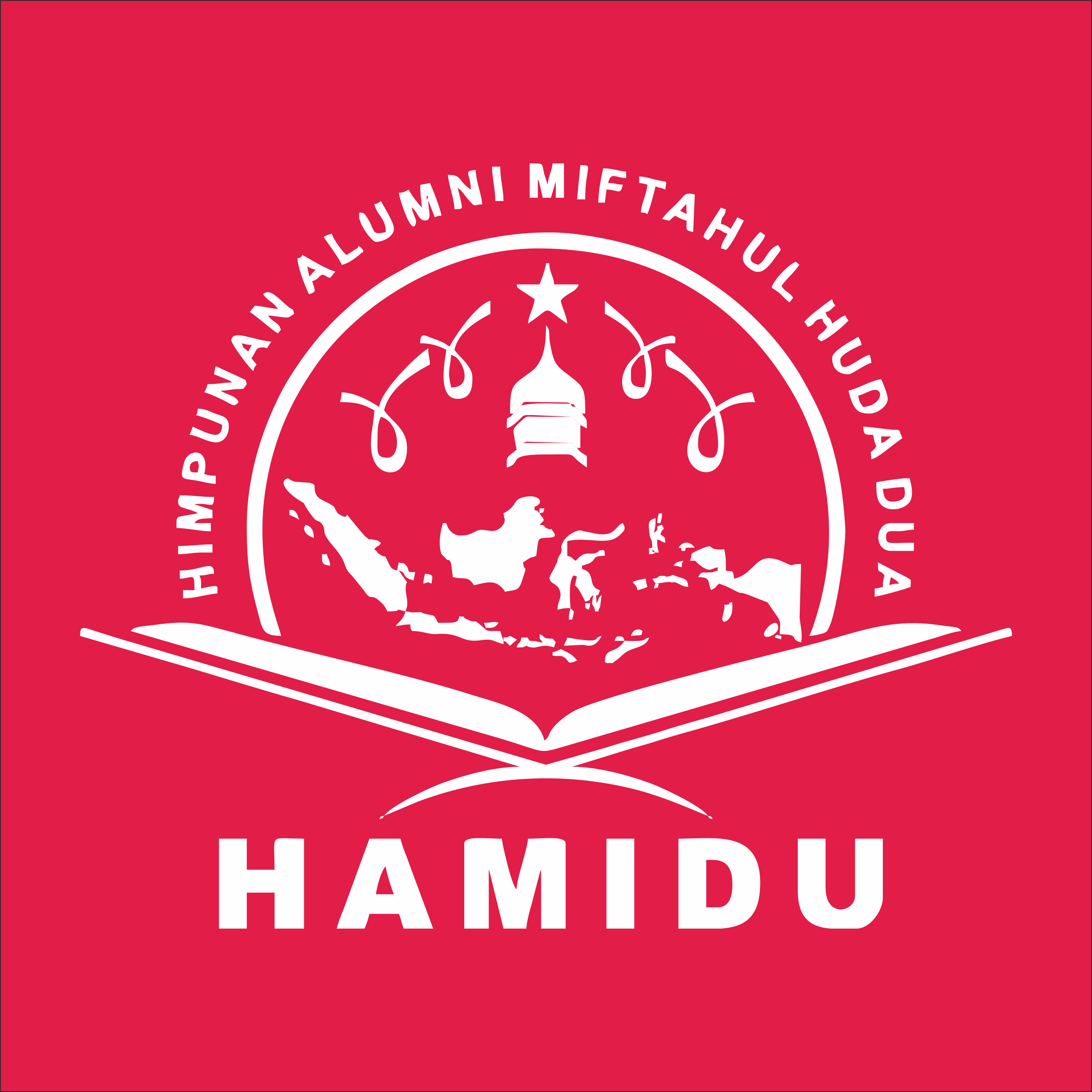 Hamidu Logo